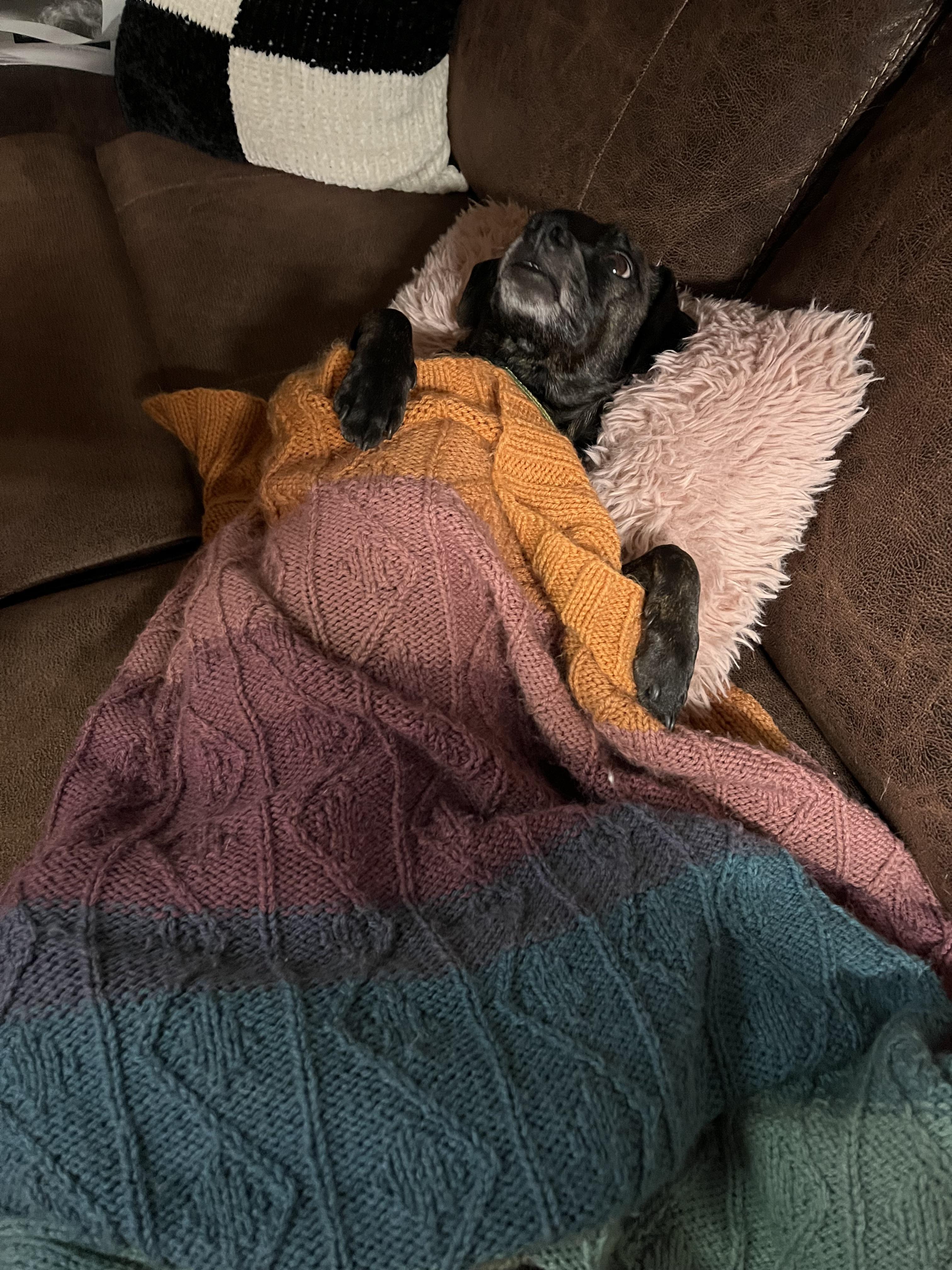 knitted pet blanket pattern