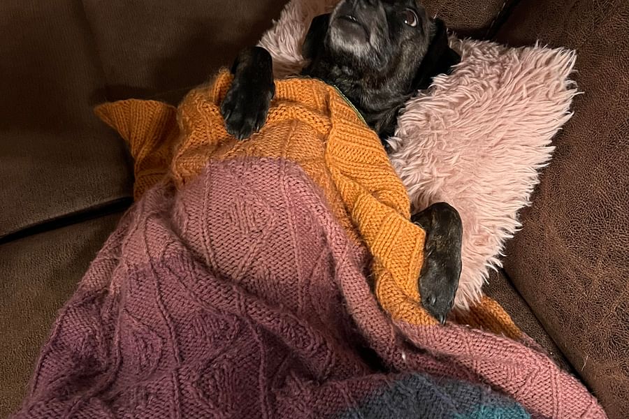 knitted pet blanket pattern